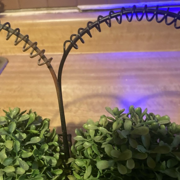 Faux Boxwood Topiary in Pot (Set of 3) - Picture 5 of 5